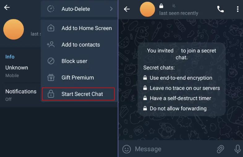 sekretni-chaty-telegram